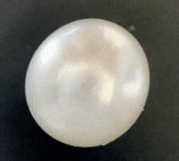 pearl Gemstone