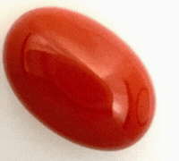 Red Coral