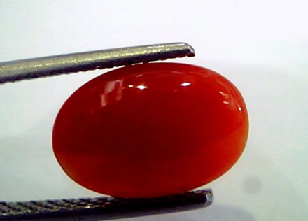 Red Coral Gemstone
