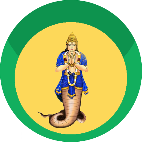 Rahu Greh Shanti Pooja